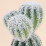 Cactus artificiel vert 26cm en plastique | Hashtag Déco