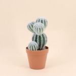 Cactus artificiel vert 26cm en plastique | Hashtag Déco