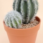 Cactus artificiel vert 26cm en plastique | Hashtag Déco