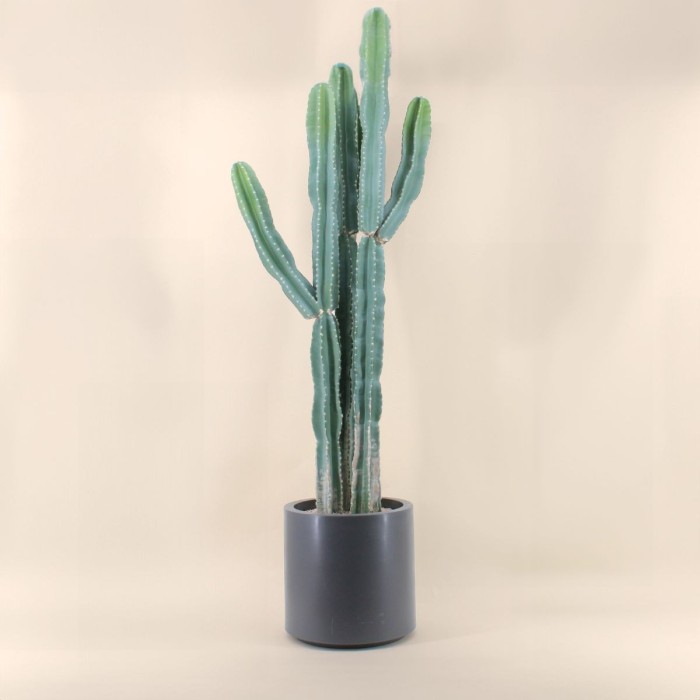 Cactus erytréa artificiel vert 167cm en plastique | Hashtag Déco
