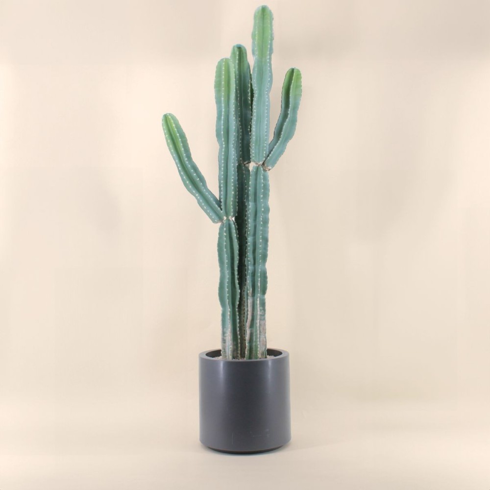 Cactus erytréa artificiel vert 167cm en plastique | Hashtag Déco