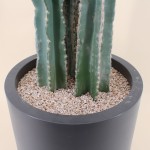 Cactus erytréa artificiel vert 167cm en plastique | Hashtag Déco