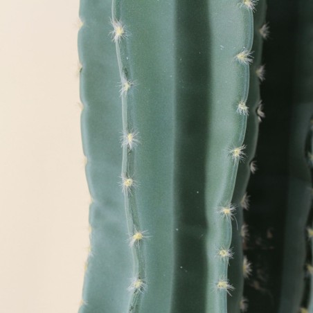 Cactus erytréa artificiel vert 167cm en plastique | Hashtag Déco