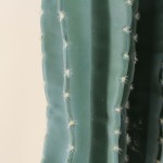 Cactus erytréa artificiel vert 167cm en plastique | Hashtag Déco