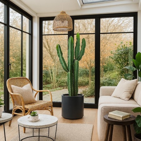 Cactus erytréa artificiel vert 167cm en plastique | Hashtag Déco