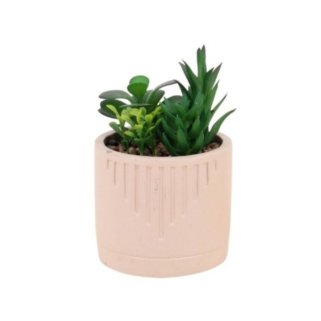 Plante grasse artificielle en pot beige | Hashtag Déco