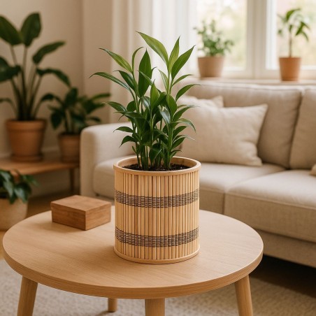Lot de 3 cache-pots bambou rayé naturel | Hashtag Déco