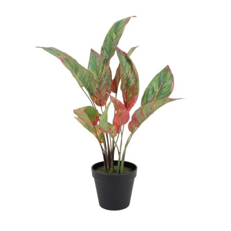 Plante artificielle rouge 52cm | Hashtag Déco