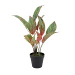 Plante artificielle rouge 52cm | Hashtag Déco
