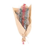 Bouquet de fleurs séchées beige 48cm | Hashtag Déco
