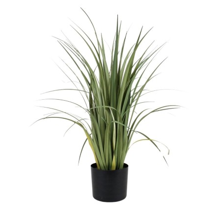 Plante artificielle acorus verte 80cm | Hashtag Déco