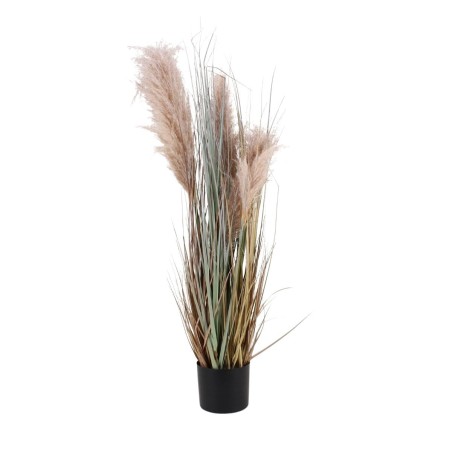 Pampas artificielles beige 120cm pour intérieur | Hashtag Déco