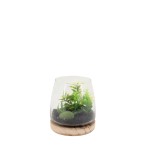 Plante artificielle en verre verte 16x13,5cm | Hashtag Déco