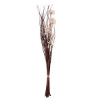 Bouquet de fleurs séchées beige 100cm | Hashtag Déco