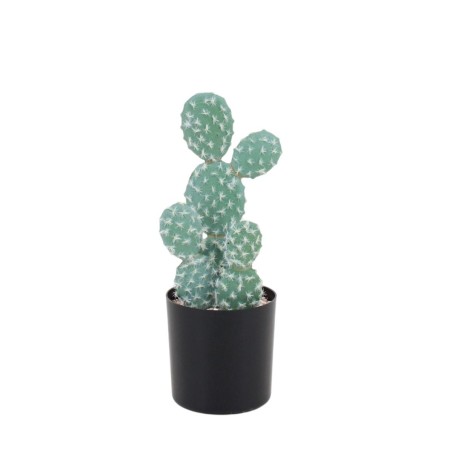 Cactus rufida artificiel vert en plastique 27cm | Hashtag Déco