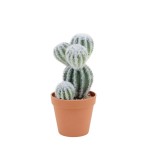 Cactus artificiel vert 26cm en plastique | Hashtag Déco