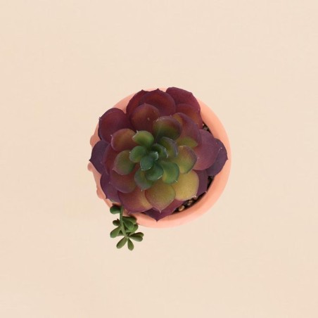 Plante artificielle pot rond terracotta | Hashtag Déco