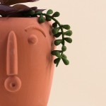 Plante artificielle pot rond terracotta | Hashtag Déco