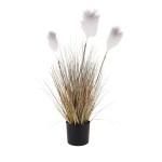 Plante artificielle plumets beige 68cm | Hashtag Déco