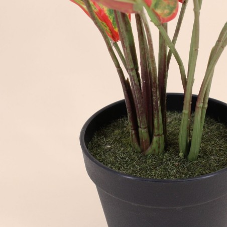 Plante artificielle rouge 52cm | Hashtag Déco
