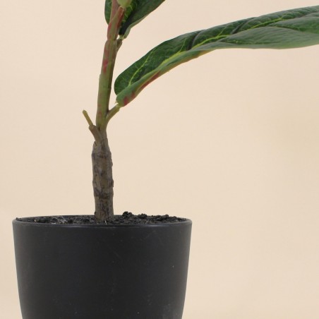 Plante artificielle verte 60cm en plastique | Hashtag Déco