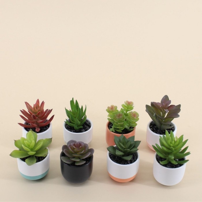 Lot de plantes grasses artificielles vertes | Hashtag Déco