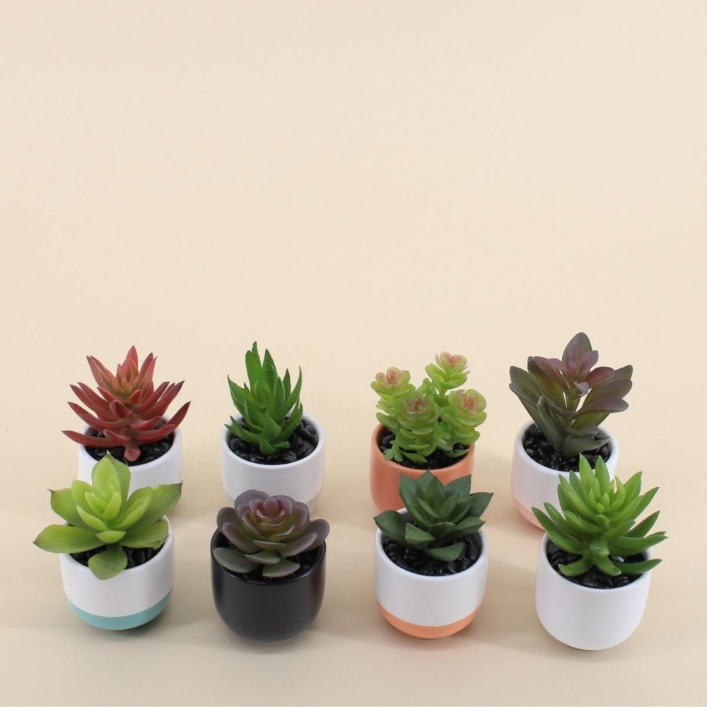 Lot de plantes grasses artificielles vertes | Hashtag Déco