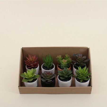 Lot de plantes grasses artificielles vertes | Hashtag Déco
