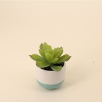 Lot de plantes grasses artificielles vertes | Hashtag Déco