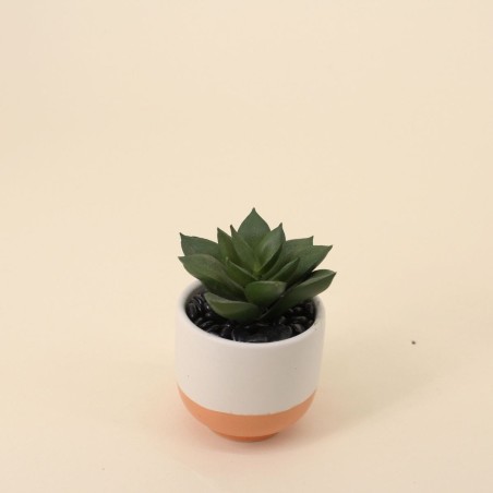 Lot de plantes grasses artificielles vertes | Hashtag Déco