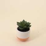 Lot de plantes grasses artificielles vertes | Hashtag Déco