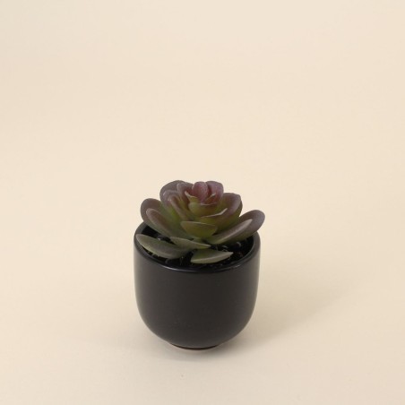 Lot de plantes grasses artificielles vertes | Hashtag Déco