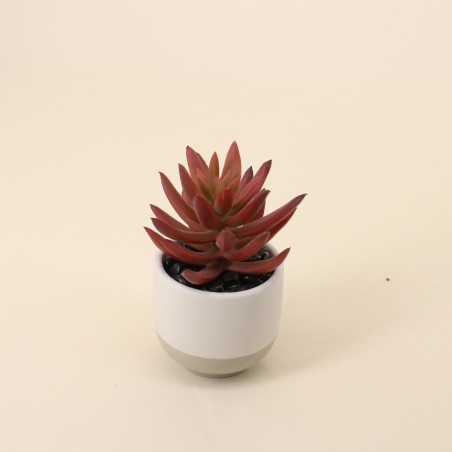 Lot de plantes grasses artificielles vertes | Hashtag Déco