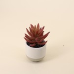 Lot de plantes grasses artificielles vertes | Hashtag Déco