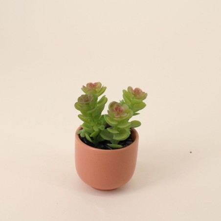 Lot de plantes grasses artificielles vertes | Hashtag Déco