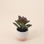 Lot de plantes grasses artificielles vertes | Hashtag Déco