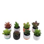 Lot de plantes grasses artificielles vertes | Hashtag Déco