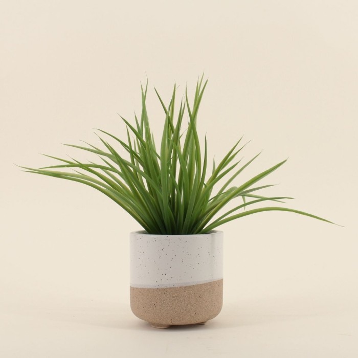 Plante artificielle céramique bicolore 26cm | Hashtag Déco