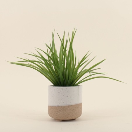 Plante artificielle céramique bicolore 26cm | Hashtag Déco