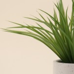 Plante artificielle céramique bicolore 26cm | Hashtag Déco