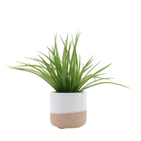 Plante artificielle céramique bicolore 26cm | Hashtag Déco