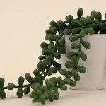 Plante grasse artificielle céramique blanche 23cm | Hashtag Déco