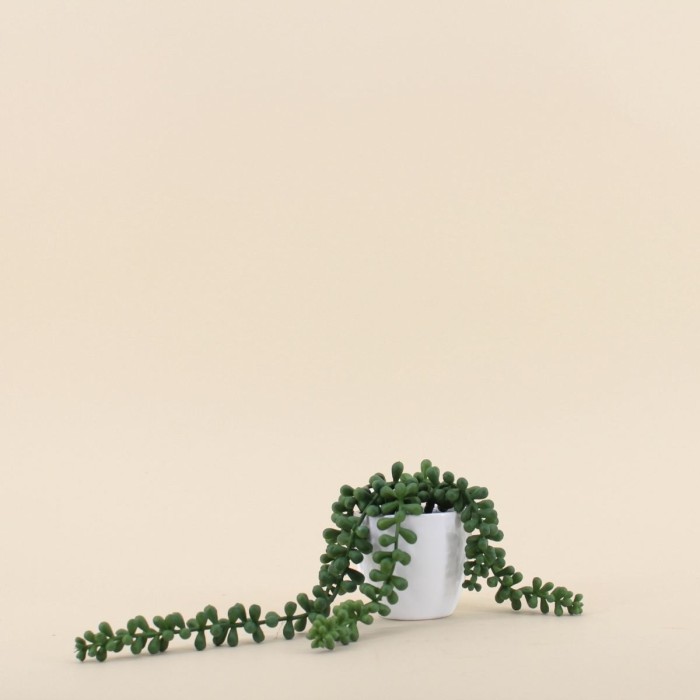 Plante grasse artificielle céramique blanche 23cm | Hashtag Déco