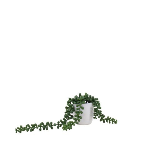 Plante grasse artificielle céramique blanche 23cm | Hashtag Déco
