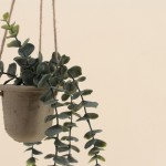 Plante artificielle tombante beige en papier maché | Hashtag Déco