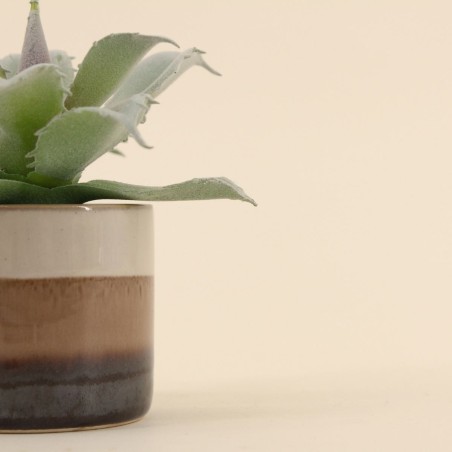 Plante grasse artificielle céramique rayée | Hashtag Déco