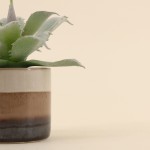Plante grasse artificielle céramique rayée | Hashtag Déco
