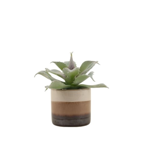 Plante grasse artificielle céramique rayée | Hashtag Déco