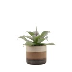 Plante grasse artificielle céramique rayée | Hashtag Déco