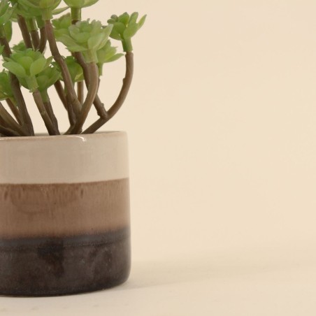 Plante grasse artificielle pot céramique beige | Hashtag Déco